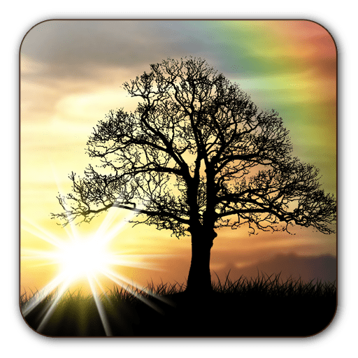 Sun Rise Free Live Wallpaper