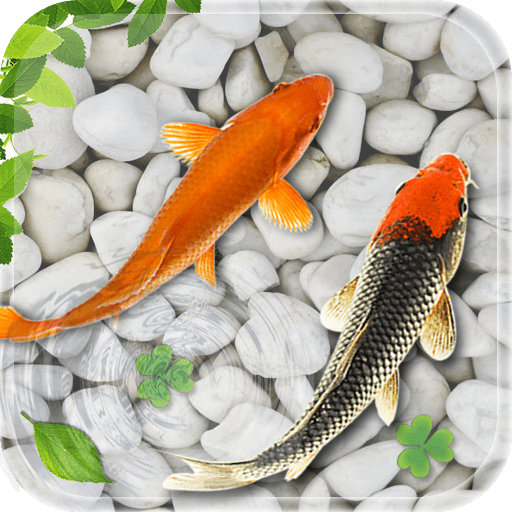 Fish Live Wallpaper Aquarium